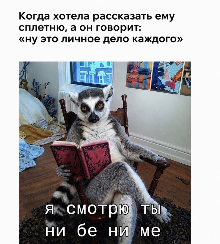 �������� ������ ����� � �������� ��� ���������� (28 ����)