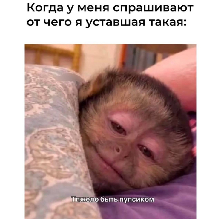 ���������! ������� �������� � ����� �� ���� (30 ����)