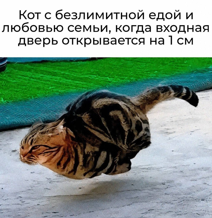���������! ������� �������� � ����� �� ���� (30 ����)