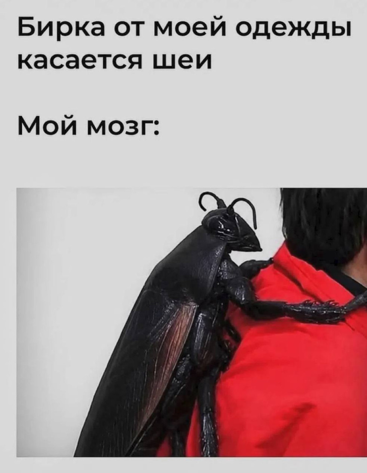 ���������! ������� �������� � ����� �� ���� (30 ����)