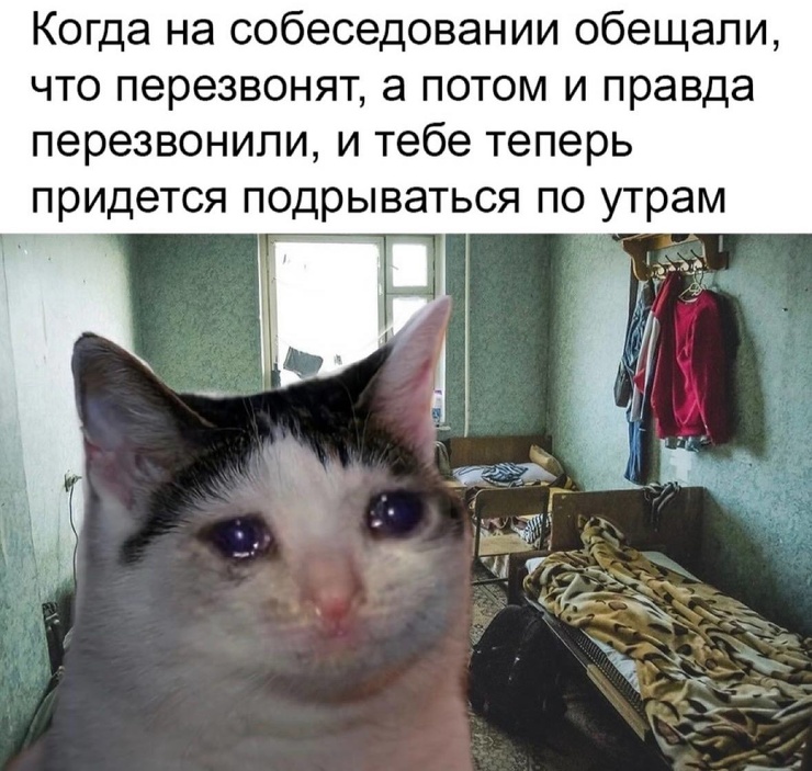 ���������! ������ ������� � ���� ��� ���������� ( ����)