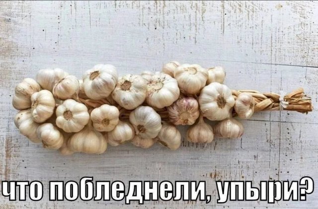 ���������! ������ ������� � ���� ��� ���������� ( ����)