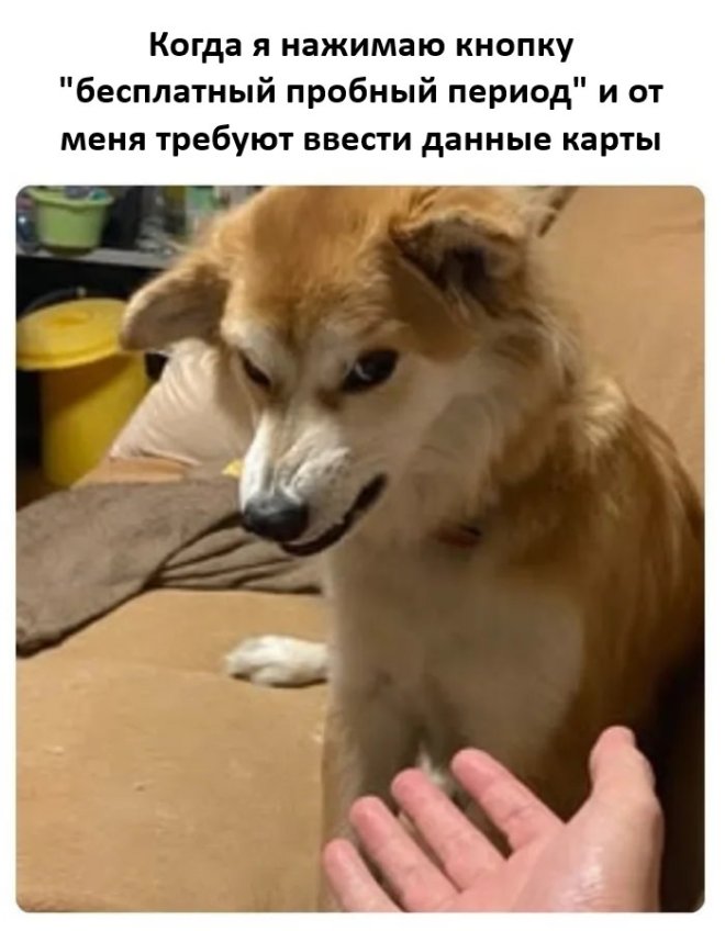 ���������! ������ ������� � ���� ��� ���������� ( ����)