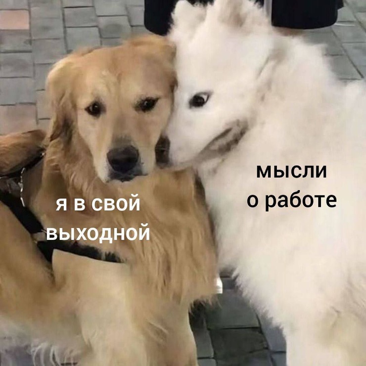 ������� ����� ��� ���������� (25 ����)