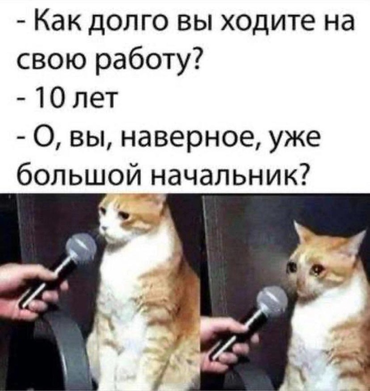 ������� ����� ��� ���������� (25 ����)