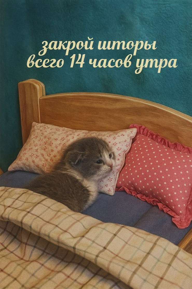 ������� ����� ��� ���������� (25 ����)