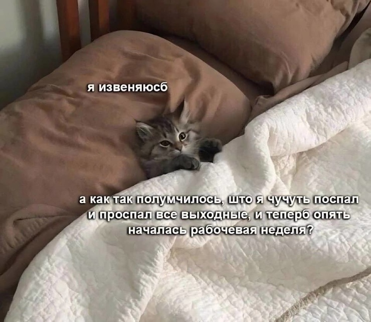 ������� ����� ��� ���������� (25 ����)