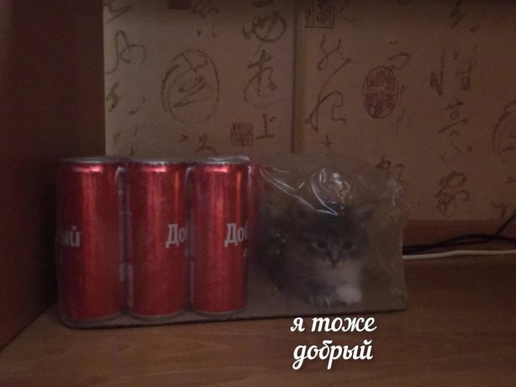 ������� ����� ��� ���������� (25 ����)