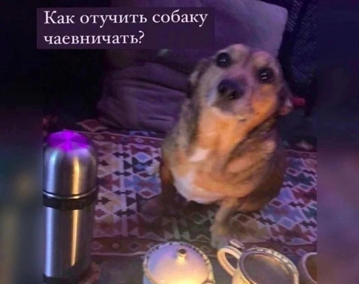 ������� ����� ��� ���������� (25 ����)