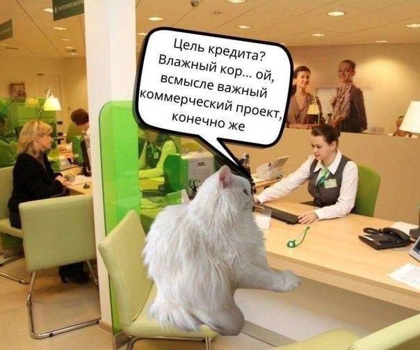 �������� ������ �������� ��� ���������� (36 ����)