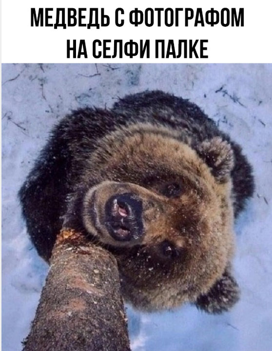 �������� ������ �������� ��� ���������� (36 ����)