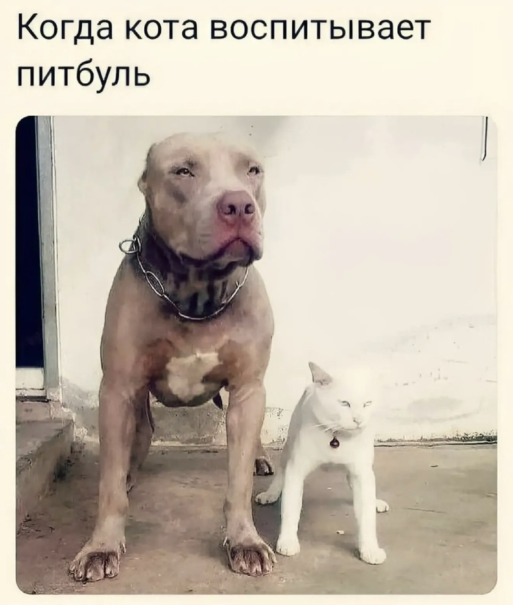 �������� ������ �������� ��� ���������� (36 ����)