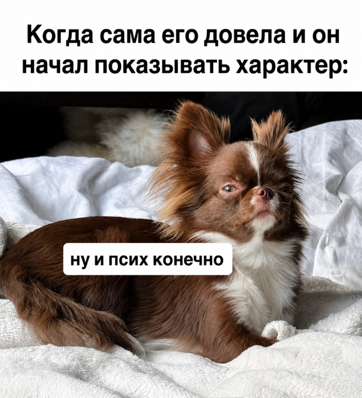�������� ������ �������� ��� ���������� (36 ����)