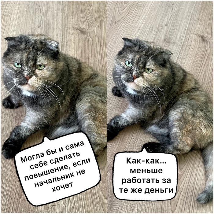 �������� ������ �������� ��� ���������� (36 ����)