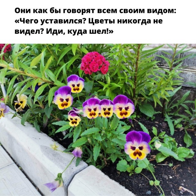 ���������! ������ ���� ��� ��������� ���������� (35 ����)