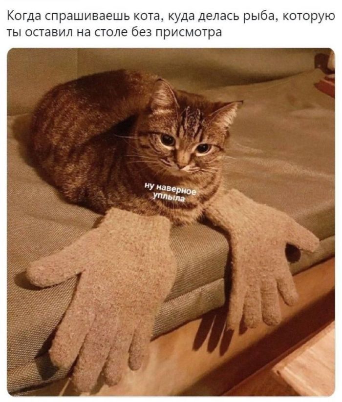 ���������! ������ ���� ��� ��������� ���������� (35 ����)