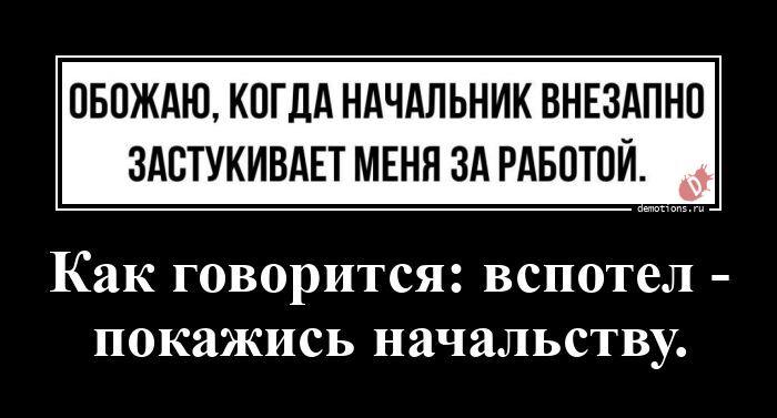 ������������ �������� (20 ����)