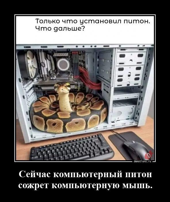 ������������ �������� (20 ����)