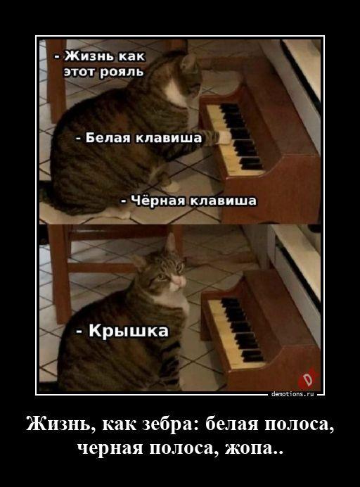 ������������ �������� (20 ����)