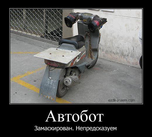 ������������ �������� (20 ����)
