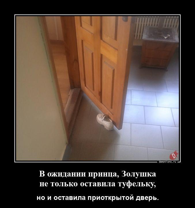 ������������ �������� (20 ����)