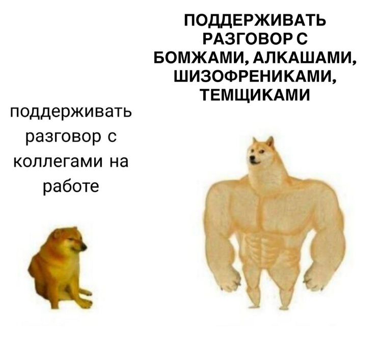 ������� ������� �������� � ����� (30 ����)