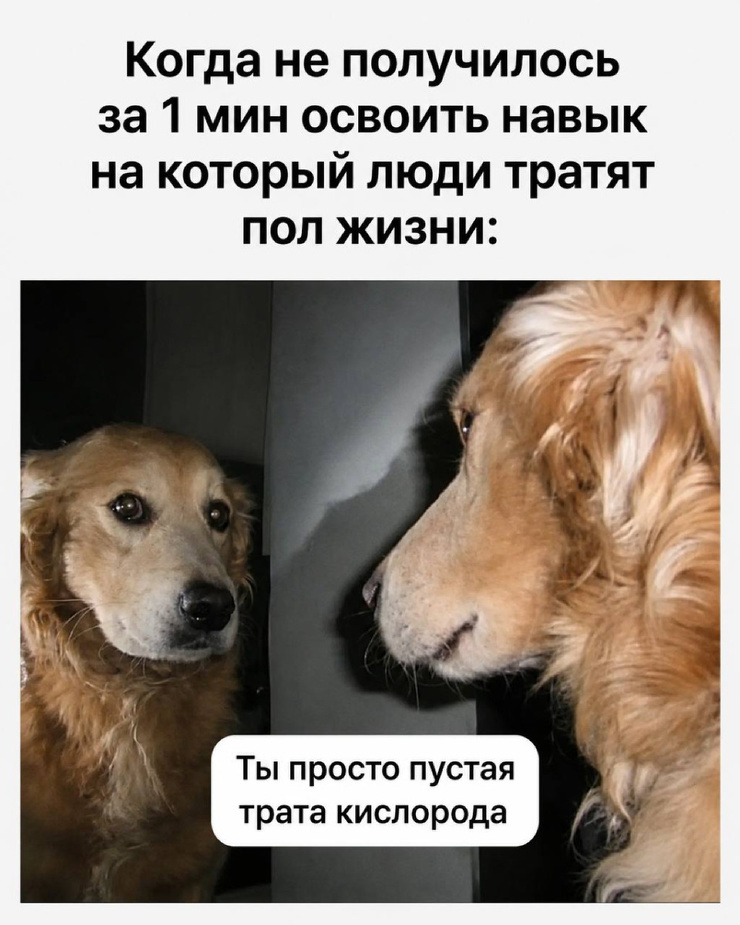 ������� ������� �������� � ����� (30 ����)