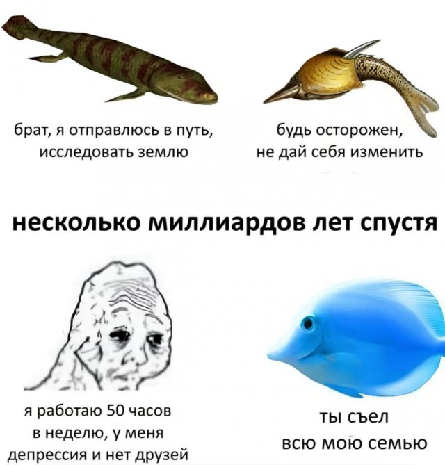 �������� ������ �������� ��� ���������� (30 ����)