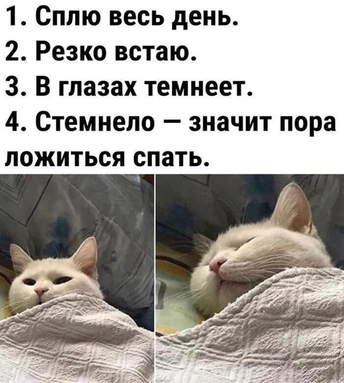 �������� ������ �������� ��� ���������� (30 ����)