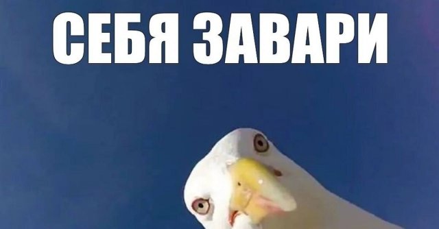 �������� ������ �������� ��� ���������� (30 ����)