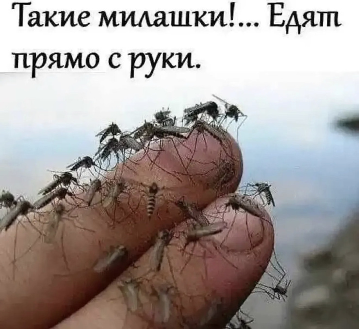 �������� ������ �������� ��� ���������� (30 ����)