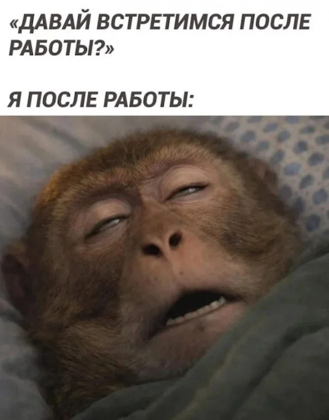 ���������! ������� ������ ����� � �������� (30 ����)