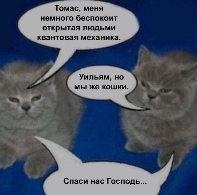 ���������! ������� ������ ����� � �������� (30 ����)