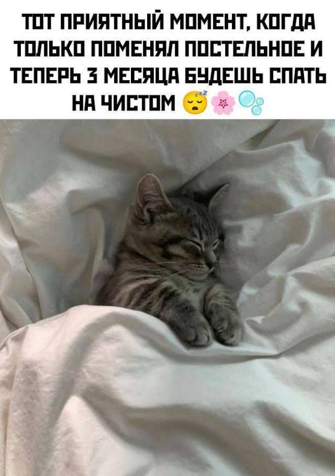 ���������! ������� ������ ����� � �������� (30 ����)