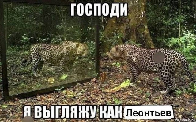 ������ ������� �� ���� (20 ����)