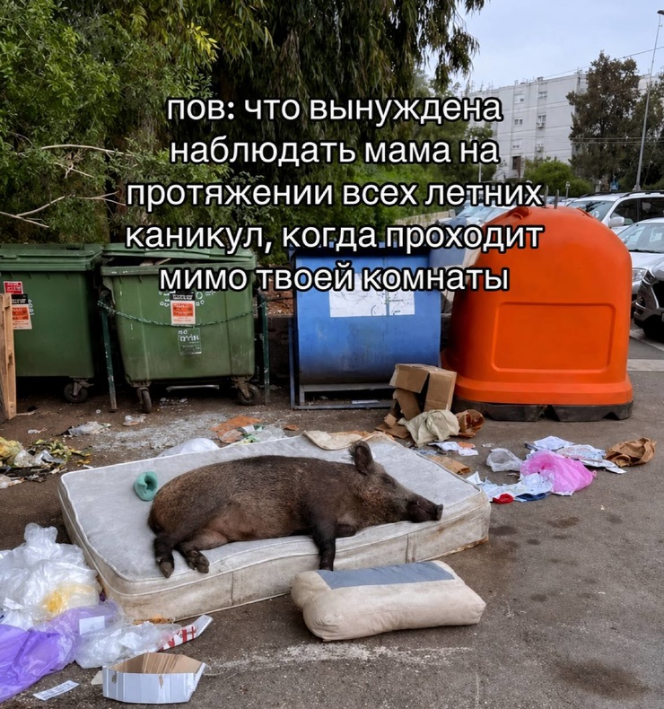 ������ ������� �� ���� (20 ����)
