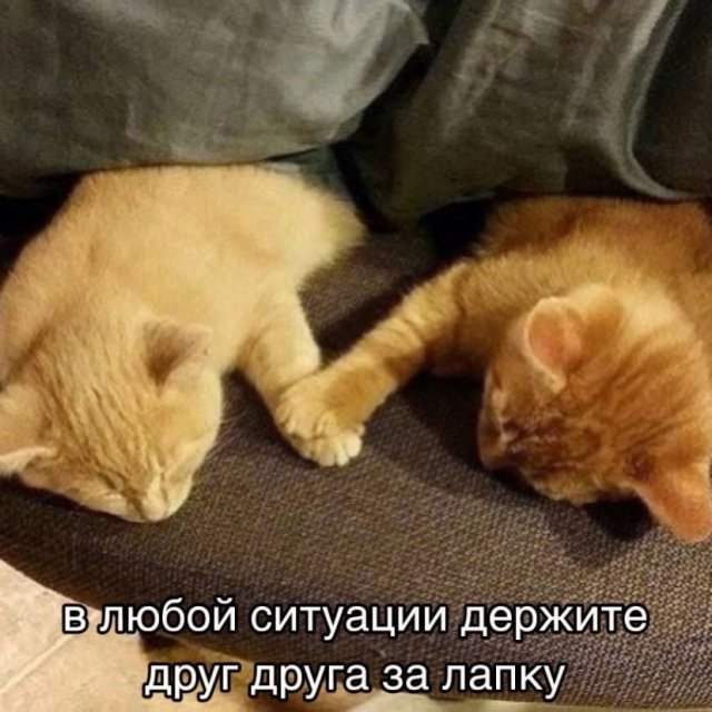������ ������� �� ���� (20 ����)