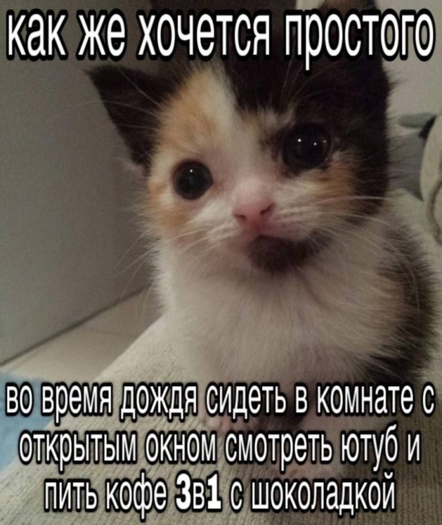 ������ ������� �� ���� (20 ����)