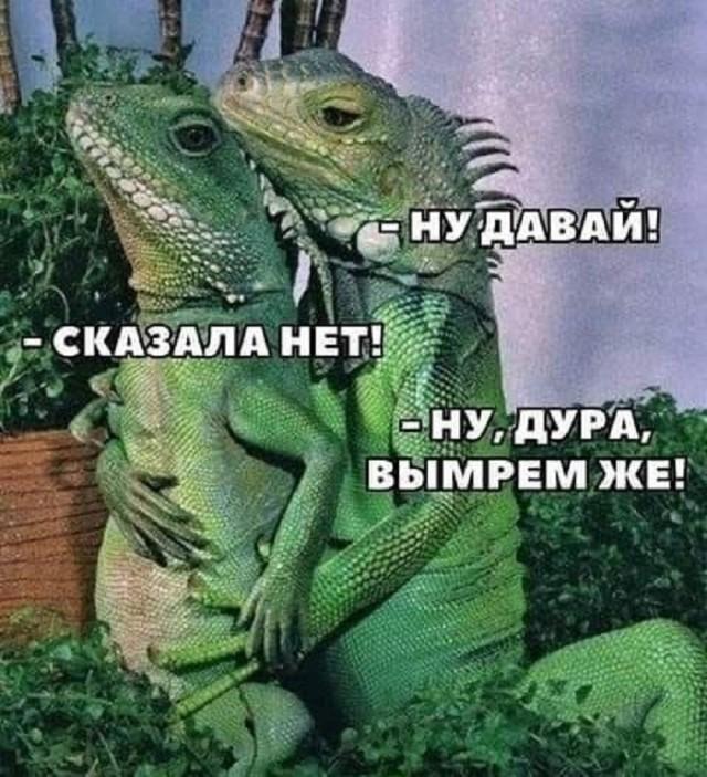 �������� ������ ����� � �������� (15 ����)