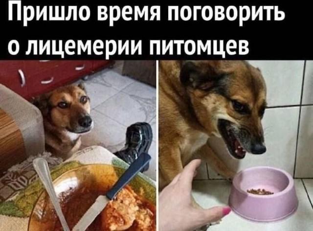 �������� ������ ����� � �������� (15 ����)