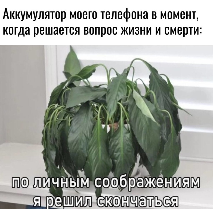������� �������� ��� ���������� (30 ����)