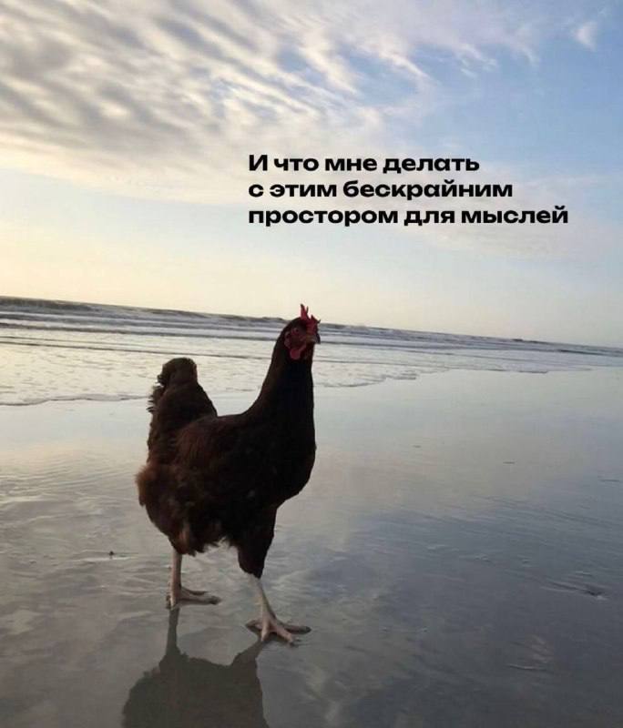 ������� �������� ��� ���������� (30 ����)