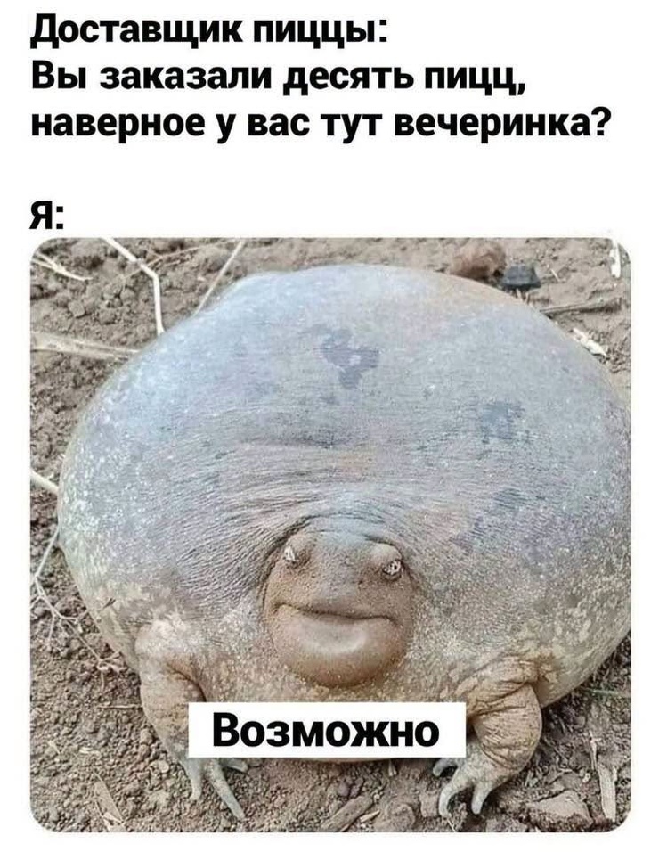 ���������! ���� � ������� �� ���� (25 ����)