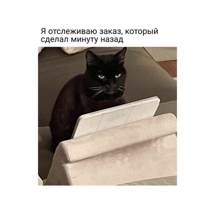 ���������! ���� � ������� �� ���� (25 ����)