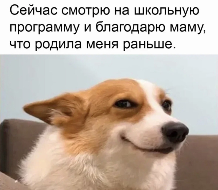 ���������! ���� � ������� �� ���� (25 ����)