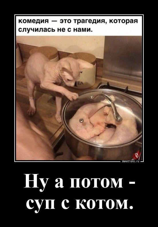 ������������ �������� (17 ����)