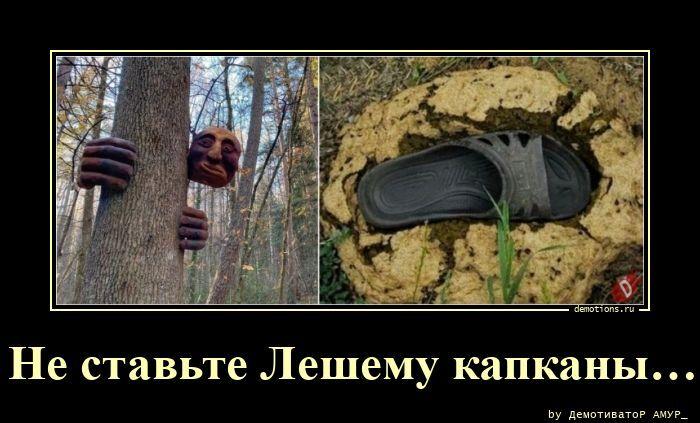 ������������ �������� (17 ����)