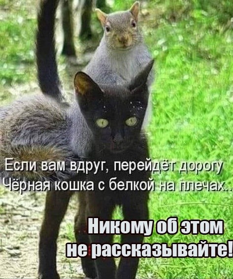 �������� �������� ��� ��������� ���������� (33 ����)