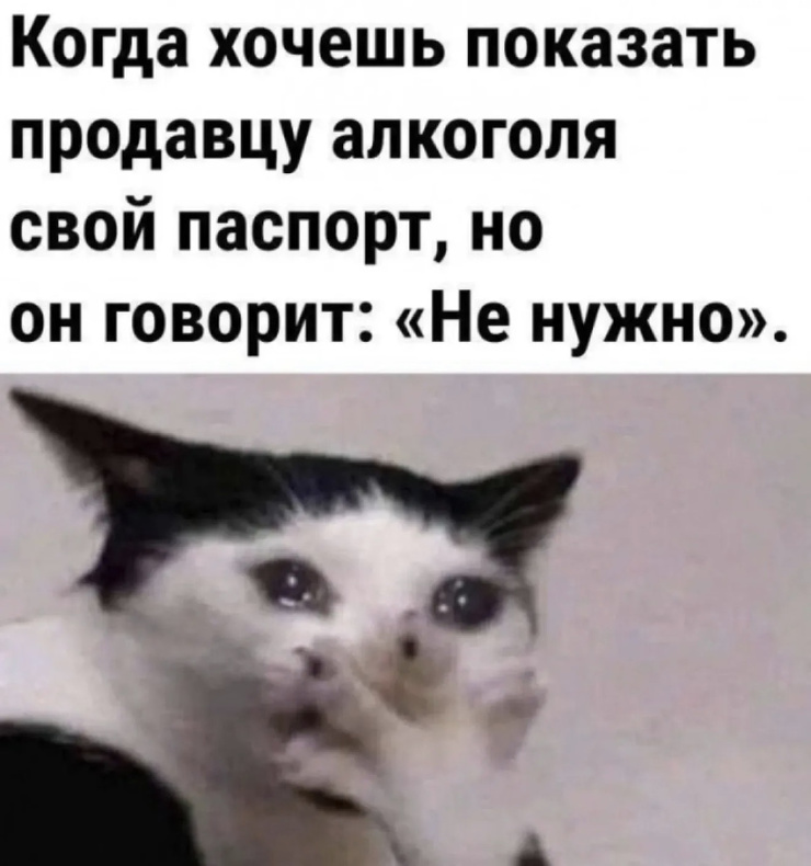 �������� �������� ��� ��������� ���������� (33 ����)