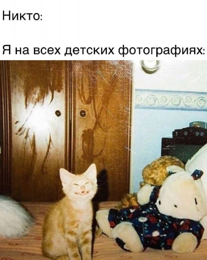 �������� �������� ��� ��������� ���������� (33 ����)
